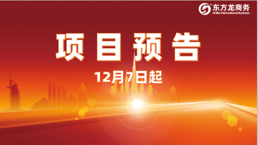 狠抓投資選址項(xiàng)目促實(shí)效！12月7日起，21家優(yōu)質(zhì)企業(yè)精準(zhǔn)對接全國政府園區(qū)