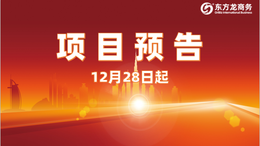 堅持高水準開發，高質量對接！12月28日起，25家優質投資選址企業精準對接全國政府園區