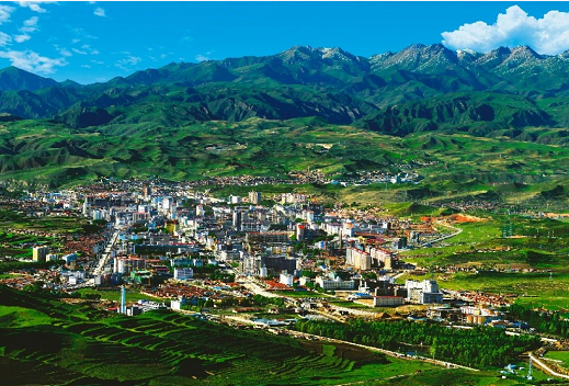 集團(tuán)全力助推甘肅甘南藏族自治州合作市委托招商引資，搶占發(fā)展先機(jī)壯大高原支柱產(chǎn)業(yè)