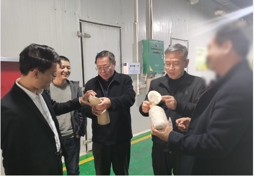 合作邁出堅實一步！集團推進3家優(yōu)質(zhì)投資選址企業(yè)精準對接地方政府