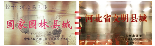 東方龍商務(wù)集團助力河北高邑縣委托招商引資，以“新經(jīng)濟”撬動“新引擎”