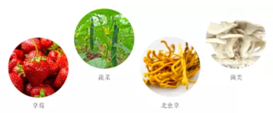 集團全力助推遼寧省燈塔市委托招商引資，以“特色小鎮”打造全國產業集聚區