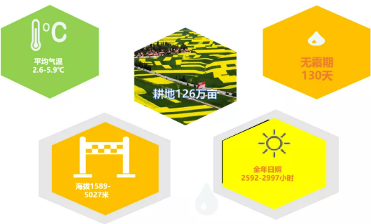 集團全力助推甘肅民樂縣委托招商引資，以“一區五園”打造發展新增長極