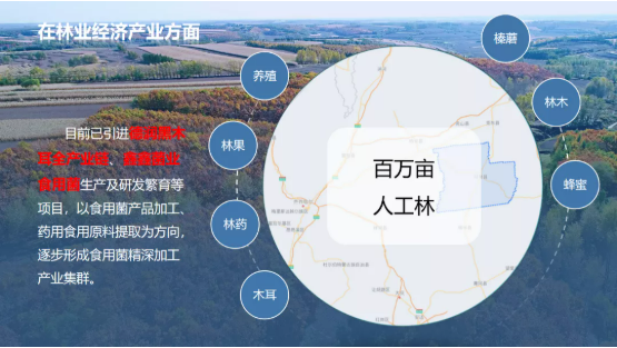 集團全力助推黑龍江齊齊哈爾拜泉縣委托招商引資，立足資源優(yōu)勢，開辟產業(yè)集群高質量發(fā)展新高地
