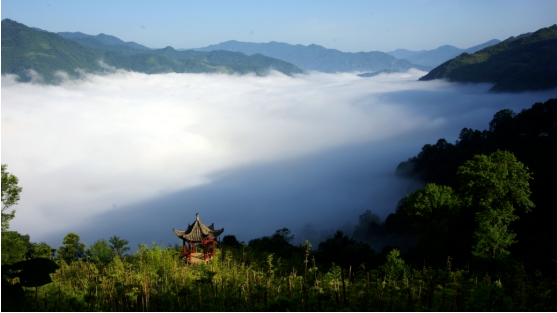 集團全力助推甘肅隴南康縣委托招商引資，以綠色發展推動鄉村振興