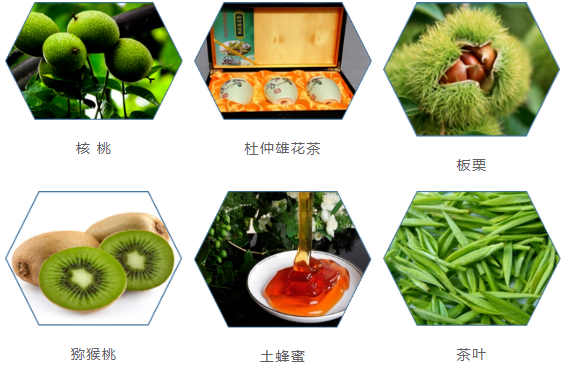 集團全力助推甘肅隴南康縣委托招商引資，以綠色發展推動鄉村振興