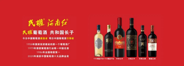 集團全力助推河南商丘民權(quán)縣委托招商引資，奮力打造民權(quán)特色產(chǎn)業(yè)發(fā)展高地