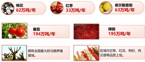 集團全力助推新疆第二師鐵門關市委托招商引資，打造宜居宜業軍墾生態新城！