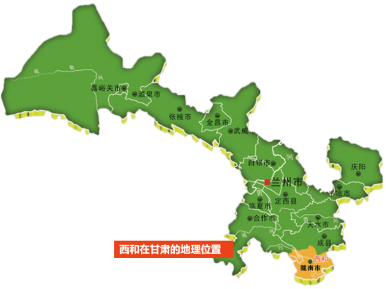 集團全力助推甘肅隴南西和縣委托招商引資，帶動特色產業提質增效！
