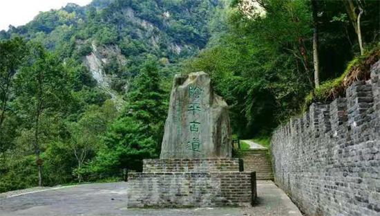 東方龍商務集團全力助推甘肅隴南文縣委托招商招商引資，重點構建特色農業、優勢工業、文旅康養三大產業集群