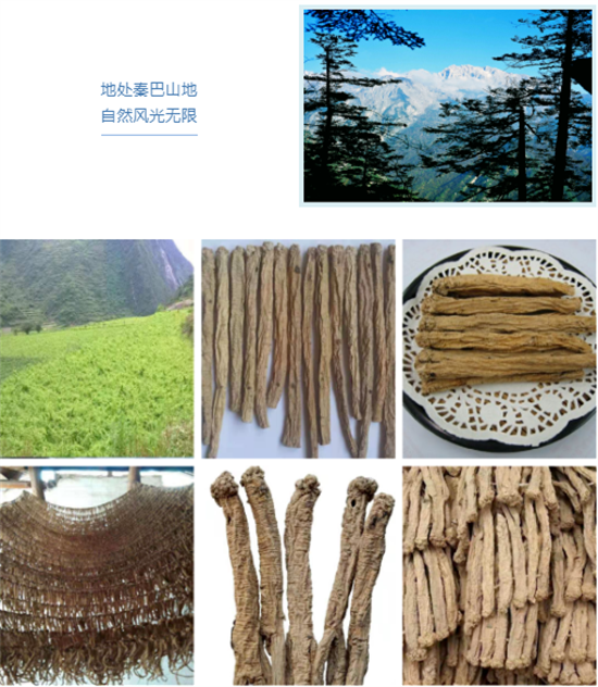 東方龍商務集團全力助推甘肅隴南文縣委托招商招商引資，重點構建特色農業、優勢工業、文旅康養三大產業集群