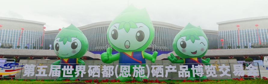 集團全力助推湖北恩施高新區委托招商引資，打造特色產業集群化發展新格局