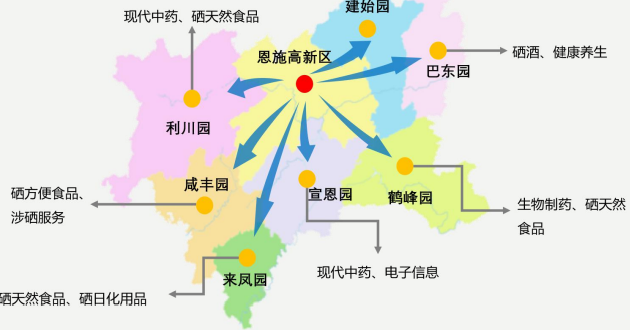 集團全力助推湖北恩施高新區委托招商引資，打造特色產業集群化發展新格局