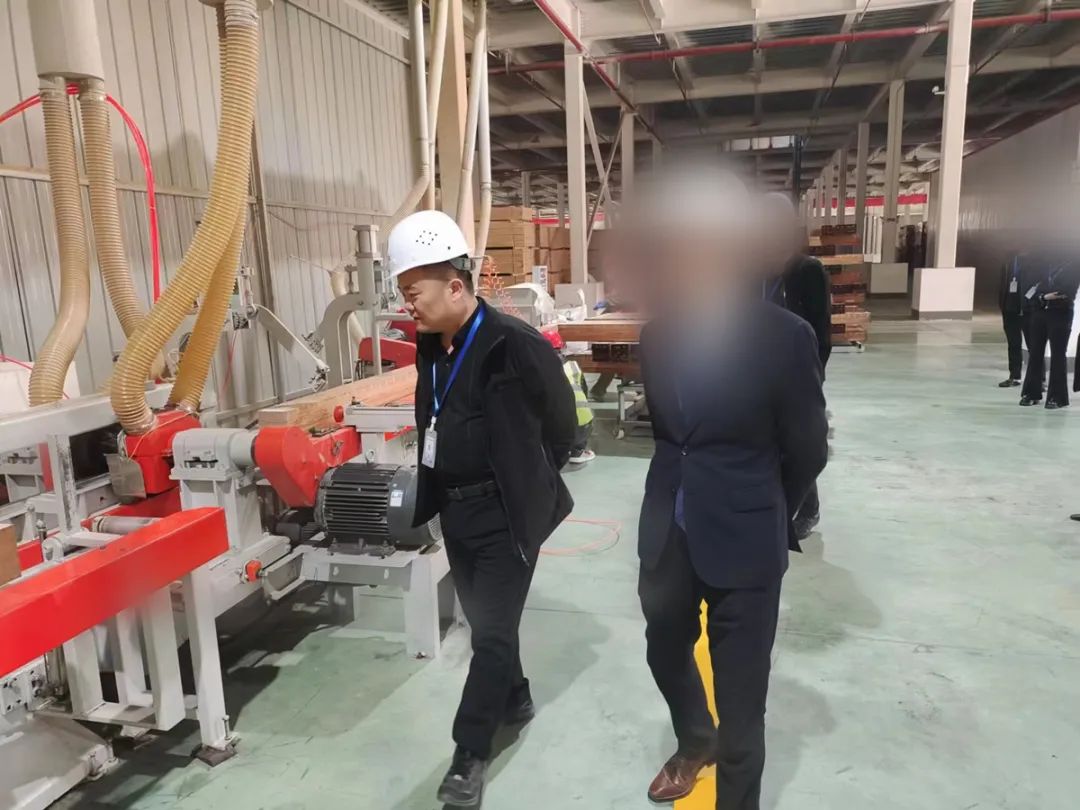 投資4億，年產值15億！河北某地方政府實地考察新型木質材料全產業(yè)鏈生產擴建投資選址項目企業(yè)