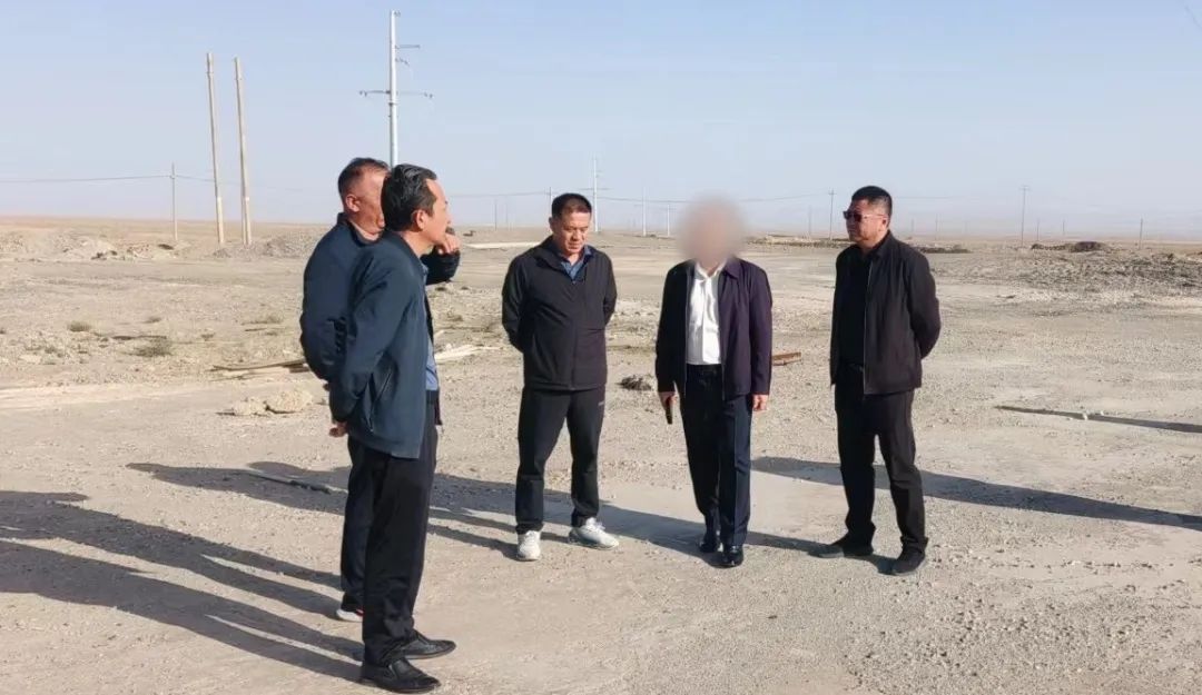 超百項成熟案例，掌握全球一流技術！大型集團新型環保建材擴建投資選址項目成功落戶甘肅酒泉